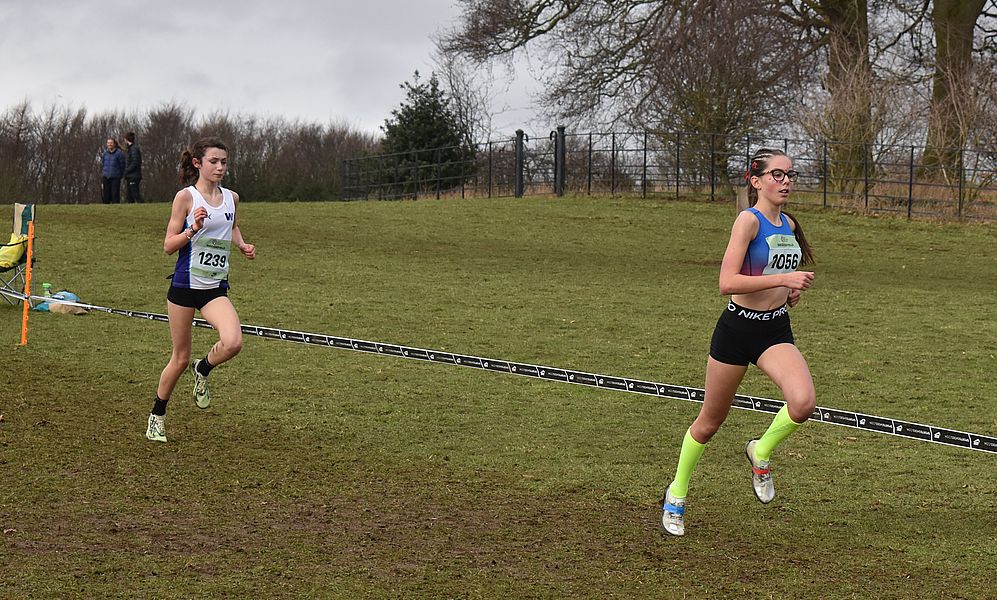 English National Cross Country Championships Hardwick Hall Park, Sedgefield 2023-2024